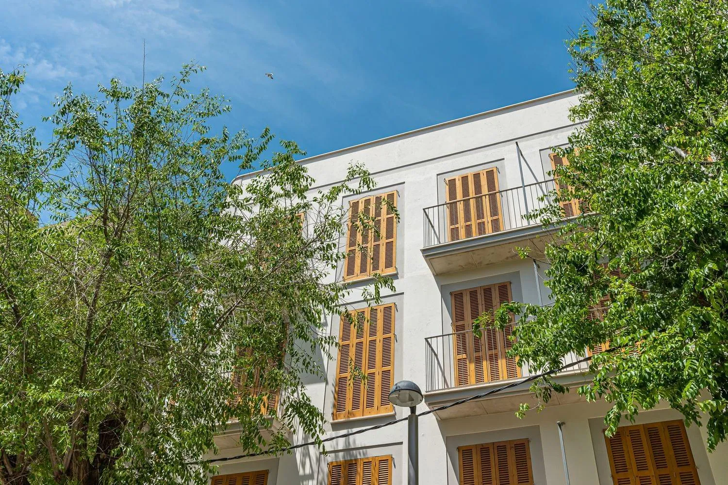 Villalonga 38