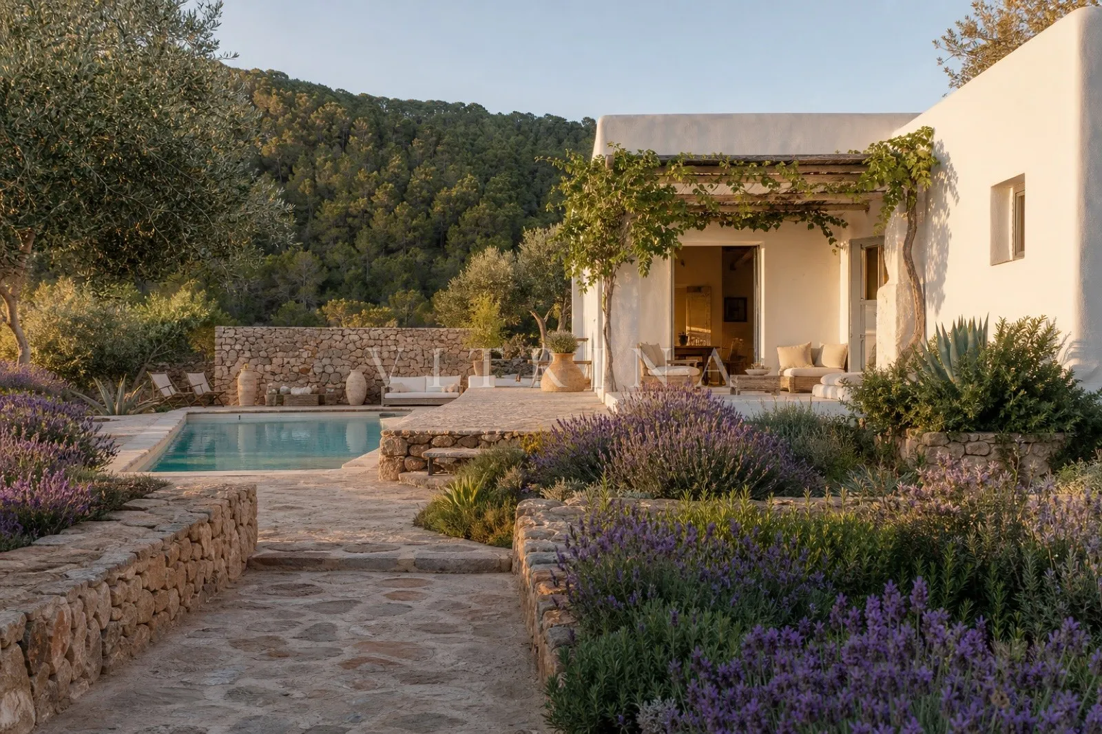Finca Coral